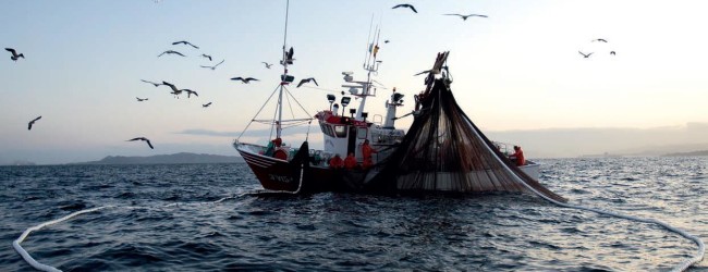 Mare Adriatico – Fermo biologico pesca fino al 27 settembre