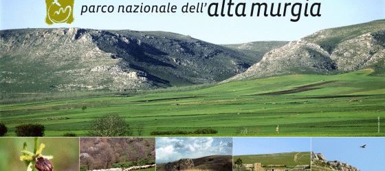 Puglia – Campo naturalistico nel Parco dell’Alta Murgia