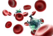 HIV – Una ricerca italo-svizzera, scopre una ‘falla’ nel processo infettivo del virus