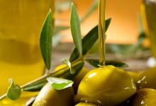 Andria  – “Liscio come l’olio”, convegno sulla tutela dell’extravergine d’oliva