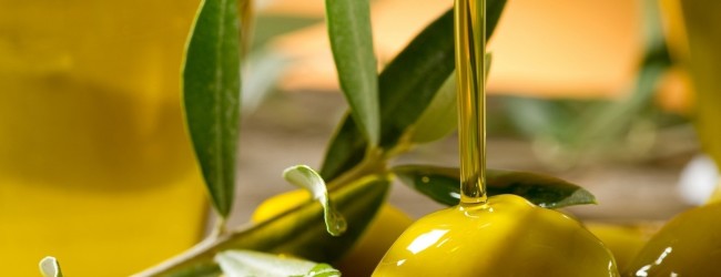 Andria  – “Liscio come l’olio”, convegno sulla tutela dell’extravergine d’oliva