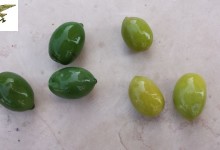 Sicurezza Agroalimentare: olive da tavola colorate pericolose per la salute