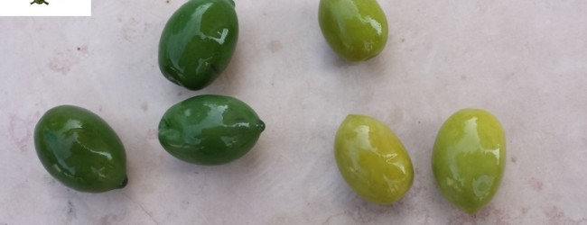 Sicurezza Agroalimentare: olive da tavola colorate pericolose per la salute
