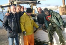 Molfetta – Wwf: 100 tartarughe marine consegnate dai pescatori in due mesi