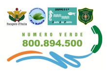 Puglia – Torna il Numero Verde per segnalazione reati del mare e ambientali sul demanio marittimo
