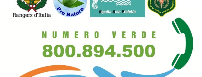 Puglia – Torna il Numero Verde per segnalazione reati del mare e ambientali sul demanio marittimo