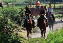 Anche Andria partecipa all’ “8° Viaggio a cavallo da Venosa a Bernalda”
