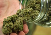 Trani – 14 kilogrammi di marijuana in casa. Arrestato 48enne biscegliese