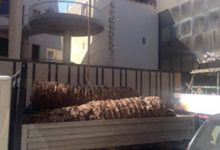 Trani – Cade un altro albero: pericolo nella palazzina uffici di via Montegrappa