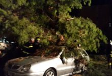 Andria – Violento temporale: cade albero su un auto, disagi per allagamenti