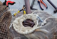 Trani – Caccia ai datteri di mare: 5 uomini denunciati