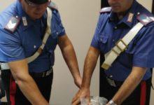 Corato – Carabinieri trovano 1,2 kg di marijuana tra le balle di fieno. Arrestato un albanese