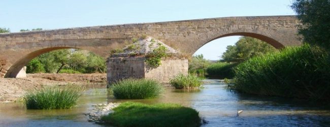 Bari – Parco Naturale Regionale del Fiume Ofanto: le prospettive nel convegno di venerdì 16 settembre