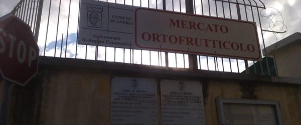 Andria – Pubblicato il bando per l’assegnazione in concessione dei posteggi di vendita nel Mercato Generale Ortofrutticolo