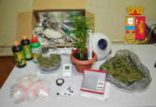 Andria – Produceva e coltivava marijuana: arrestata donna incensurata