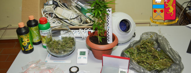 Andria – Produceva e coltivava marijuana: arrestata donna incensurata