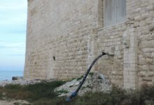 Trani – Guardia eco-ambientale denuncia degrado area tra cattedrale e castello
