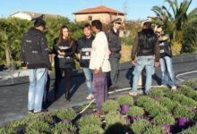 Puglia – Gdf: eseguiti interventi a contrasto del lavoro nero e irregolare