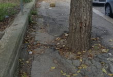 Barletta – Di Cuonzo “Passeggiata ad ostacoli tra buche e marciapiedi rotti”