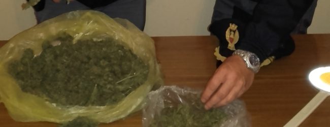 Andria – Giovane cittadino Andriese è stato trovato in possesso di quasi mezzo chilo di marijuana.