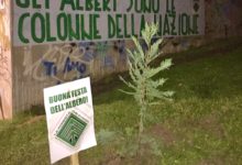 Barletta – Piantati alberi per celebrare la Festa dell’albero.