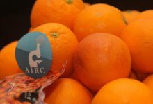 Andria – Forum Città di Giovani e le arance AIRC: in piazza a favore della ricerca