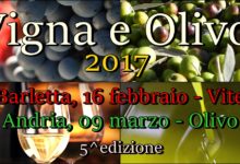 Vigna e Olivo 2017: al via doppio evento dedicato alla viticoltura e all’olivicoltura