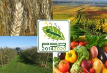 Piani di sviluppo rurale, Mennea: “Dal nuovo bando regionale opportunità anche per Barletta”