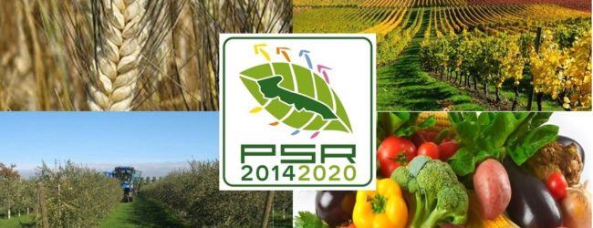 Piani di sviluppo rurale, Mennea: “Dal nuovo bando regionale opportunità anche per Barletta”