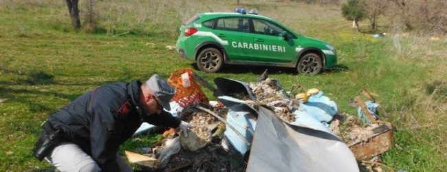 Corato – Forestale: Smaltiva rifiuti illegalmente nel Parco. Denunciato imprenditore