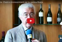 Andria – Premi e riconoscimenti alla cantina Rivera di Carlo de Corato