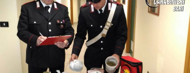 Trani – Carabinieri: nascondeva marijuana in casa. Arrestati due giovani