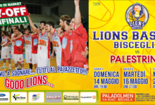 Bisceglie – Lions: il calendario della serie di semifinale con Palestrina