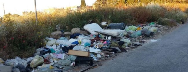 Andria – Comitato Liberi Agricoltori: “I rifiuti contaminano i nostri terreni”