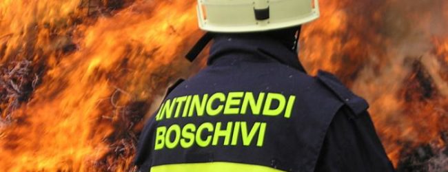 Andria – Operativa ordinanza stato pericolosità per incendi boschivi 2017