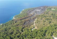 Ambiente – Isole Tremiti, incendio a San Domino: interessati oltre 40 ettari di territorio