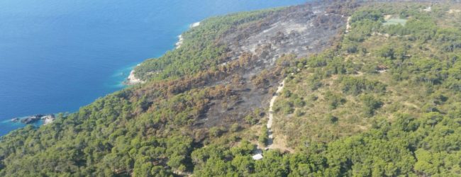 Ambiente – Isole Tremiti, incendio a San Domino: interessati oltre 40 ettari di territorio