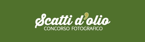 Al via il Concorso Fotografico “Scatti d’Olio” promosso ed organizzato dalla Strada dell’Olio Extravergine Castel del Monte