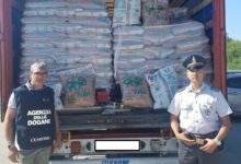 Puglia – Finanza; sequestrate 24 tonnellate di pellet