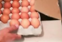 Corato – Sequestrate uova contaminate