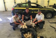Bari – Finanza: sequestrati 21 kg di marijuana. Un arresto