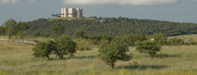 Andria-Il parco nazionale dell’ alta murgia istituisce tre premi per tesi di laurea.