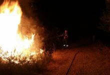 Andria – Bosco di Spirito, incendio di sterpaglie ed intervento dell’AIB della Misericordia