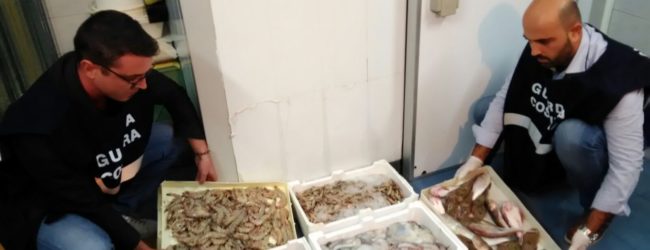 Barletta – In beneficenza 100 kg di prodotti ittici sequestrati nel porto