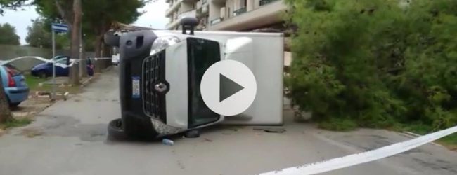 VIDEO. Trani – Tragedia sfiorata: il vento fa cadere ramo di albero su furgoncino
