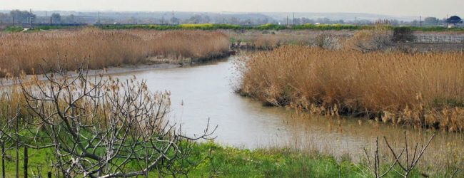 Barletta – Parco Regionale del Fiume Ofanto. Denuncia del senatore Quarto (M5S) sullo scempio ambientale