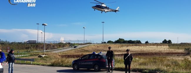 Andria – Carabinieri: Un arresto, quattro denunce e 9 segnalazioni per uso di sostanze stupefacenti.
