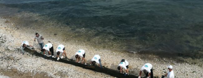 Trani – Volontari in azione: ripulito tratto costa tra castello e Cattedrale