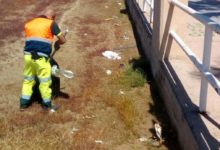 Barletta – Pulizia spiagge, in corso rimozione di tutti i rifiuti lungo le litoranee