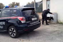 Barletta – Operazioni antidroga dei Carabinieri: 3 arresti